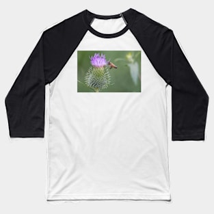 Thistle-Bee Baseball T-Shirt